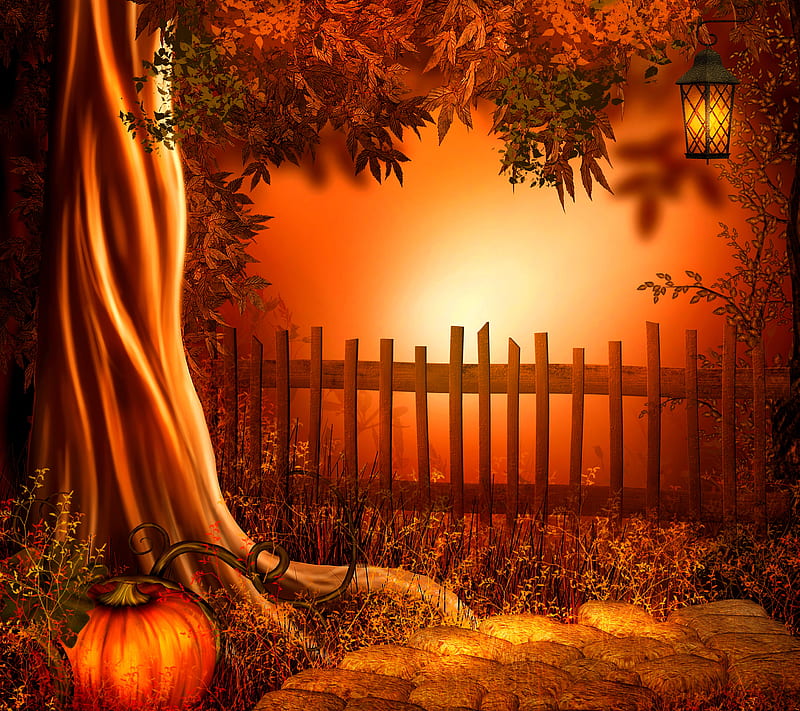 Pumkin, halloween, HD wallpaper
