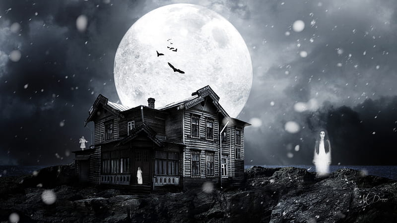 Haunted House, full moon, haunted, black and white, Halloween, sky, spirits, Firefox theme, house, bats, birds, ghosts, HD wallpaper