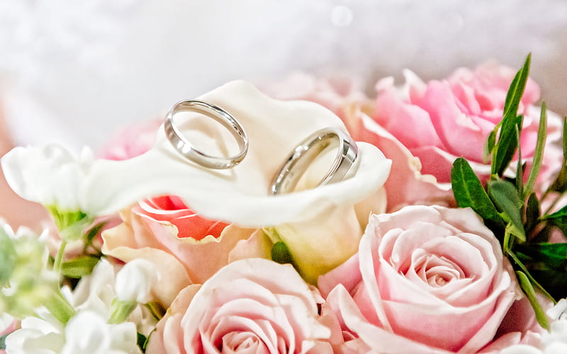 Wedding rings on pink roses, rings on flowers, wedding concepts, white gold wedding rings, bouquet of roses, wedding bouquet, roses, HD wallpaper