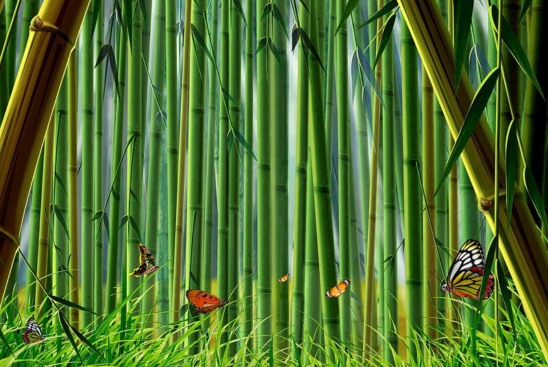 Bamboo Forest, nature, HD wallpaper