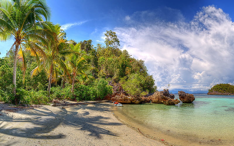 tropical islands, beach, ocean, palm trees, Lelintah, West Papua, Indonesia, HD wallpaper