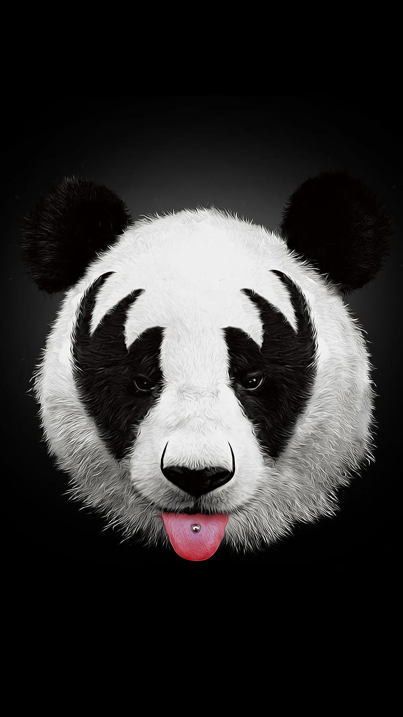 Piercing, animal, bear, bears, black, face, panda, tongue, white, HD phone wallpaper