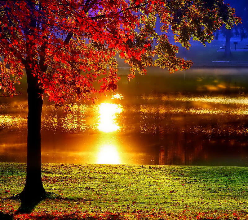 Autumn Morning, HD wallpaper