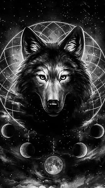Wolves, animal, black wolf, white wolf, wolf, HD wallpaper | Peakpx