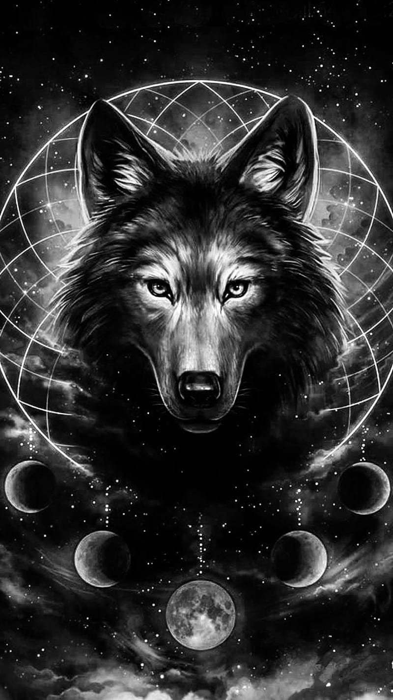 Wolf in the galaxy, black, ice, lights, lonely, northern, shadow, white, wolves, HD phone wallpaper