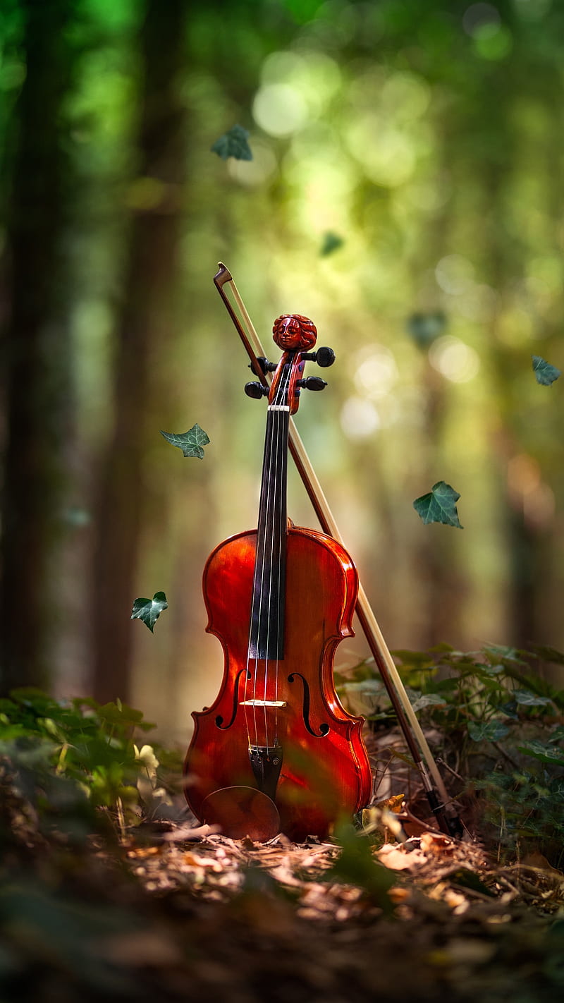 Violin, fall, forest, instrument, music, musical, nature, HD phone wallpaper