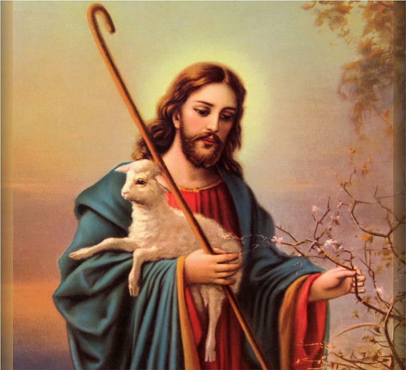 Jesus, the Good Shepherd, christ, jesus, savior, love, lamb, lord, shepherd, god, HD wallpaper