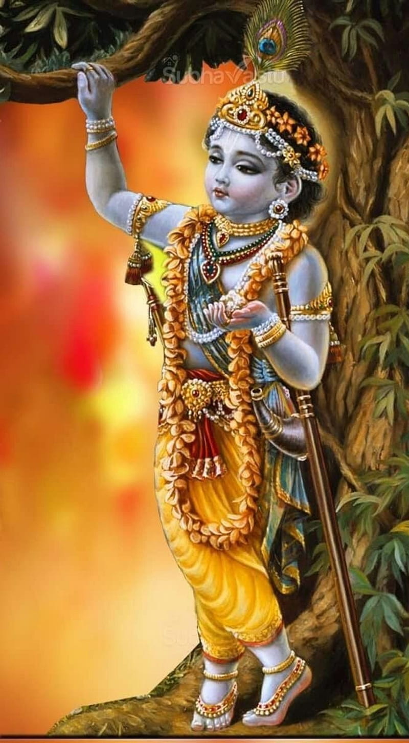 Lord shri krishna HD images free download | naveengfx