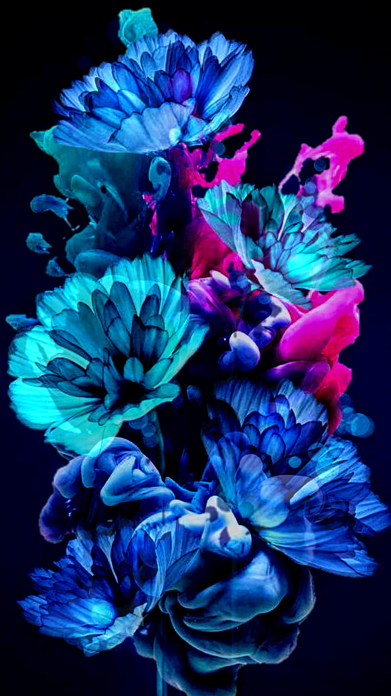 Pretty Flowers, blue, dark, purple, rose, roses, HD phone wallpaper