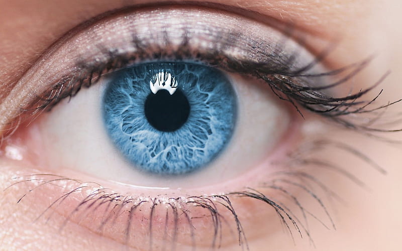 macro eyes, blue eyes, female eyes, beautiful eyes, HD wallpaper