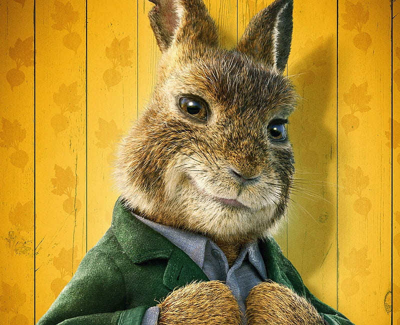 Movie, Peter Rabbit 2: The Runaway, HD wallpaper