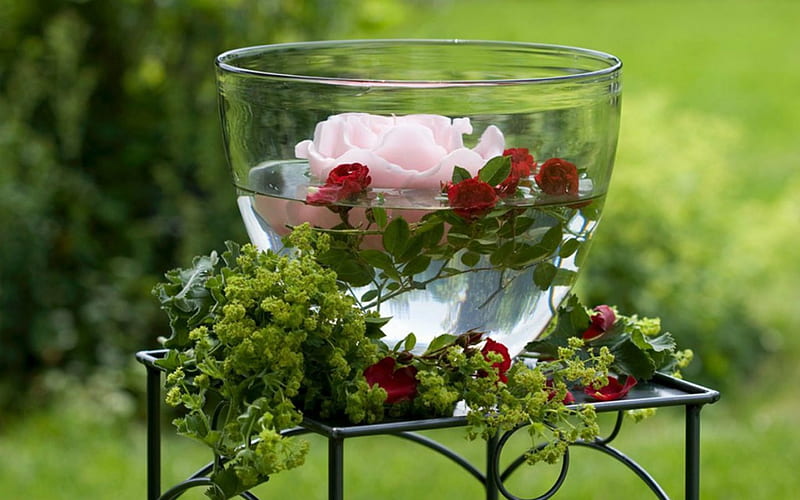 Floating Arrangement, glass, flowers, leaves, float, HD wallpaper