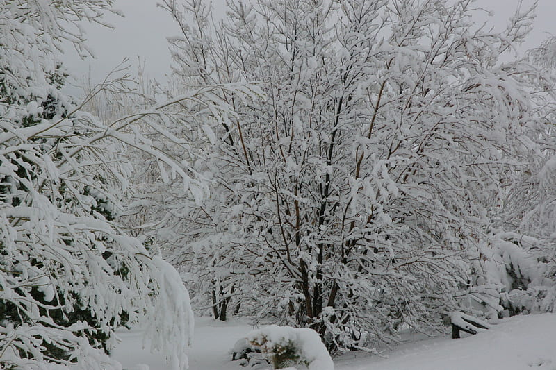 April Snow Showers in Teton Valley, Idaho, Landscape, Mountains, Trees ...