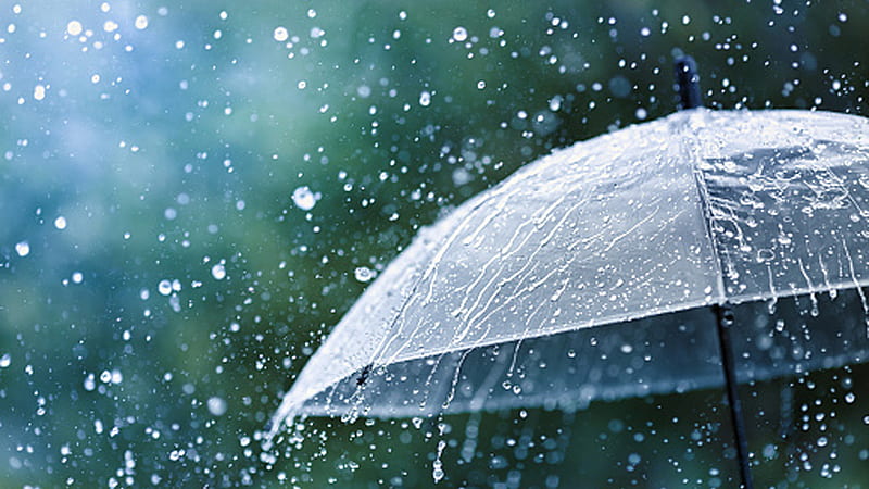 Falling Rain Drops On White Umbrella Rain, HD wallpaper