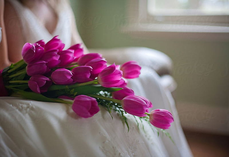 Novias ramo de boda, hermosas flores, novias, tulipanes, día especial, ramo  de boda, Fondo de pantalla HD | Peakpx