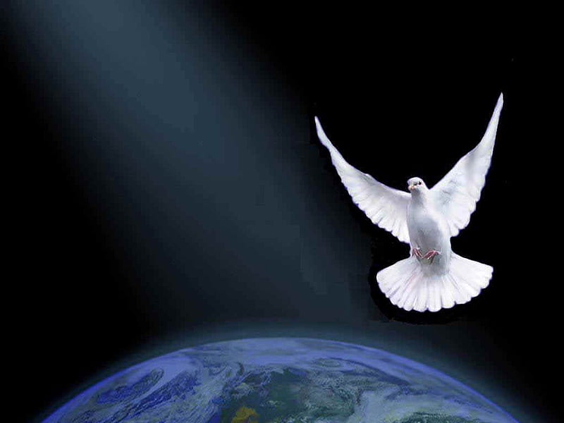 Peaceful world, world, dove, planet, symbol, HD wallpaper