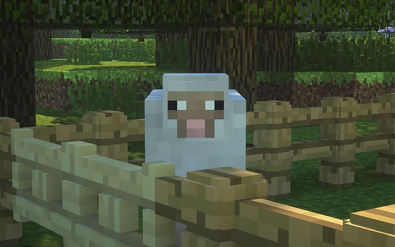 Minecraft, Fence, Sheep, Video Game, HD wallpaper