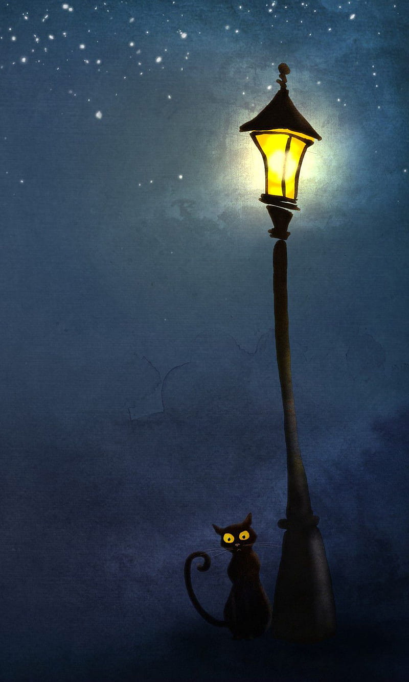 Cat and lamp post, black cat, lamp post, night, starry, HD phone wallpaper