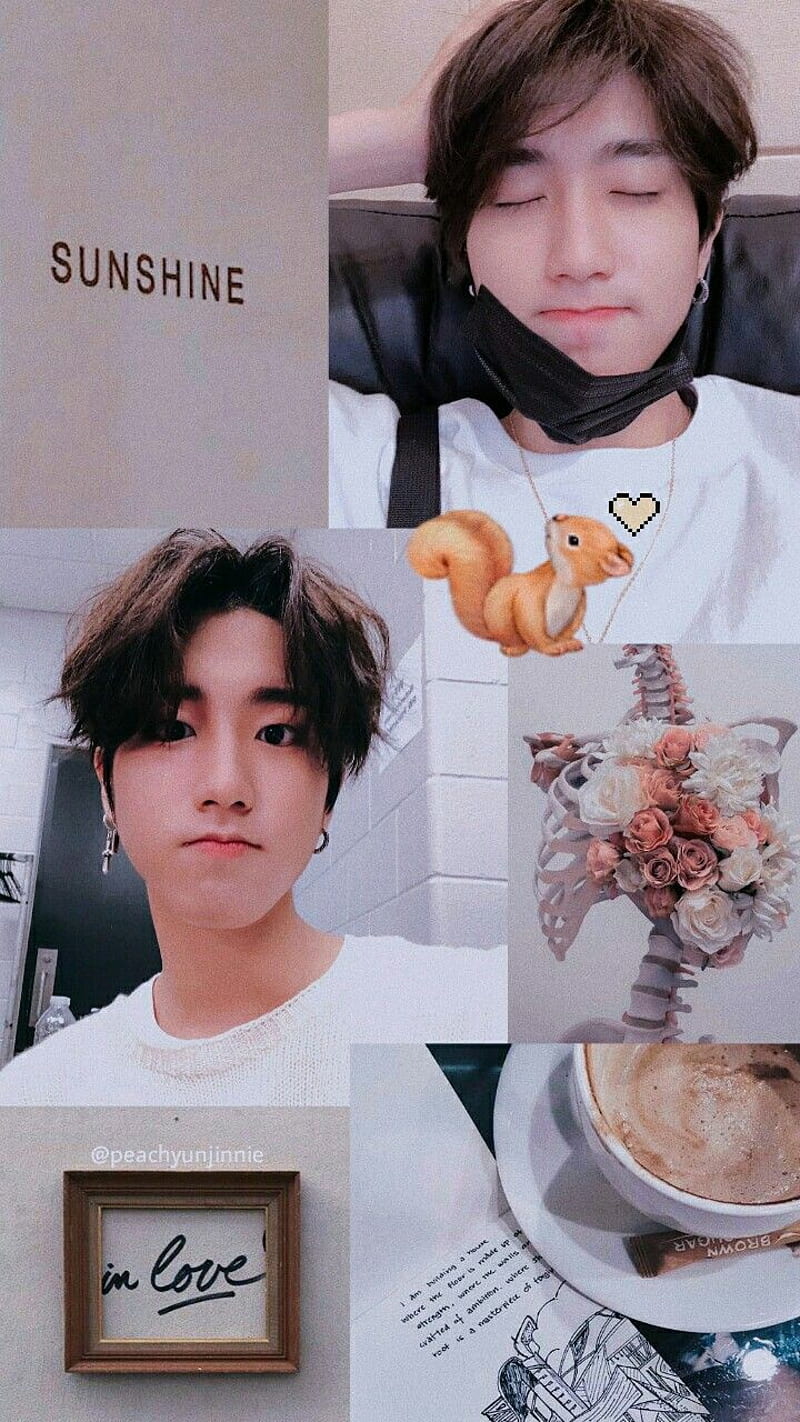 Jisung, aesthetic, boyfriend, han, kpop, pastel, soft, squirrel, stray ...