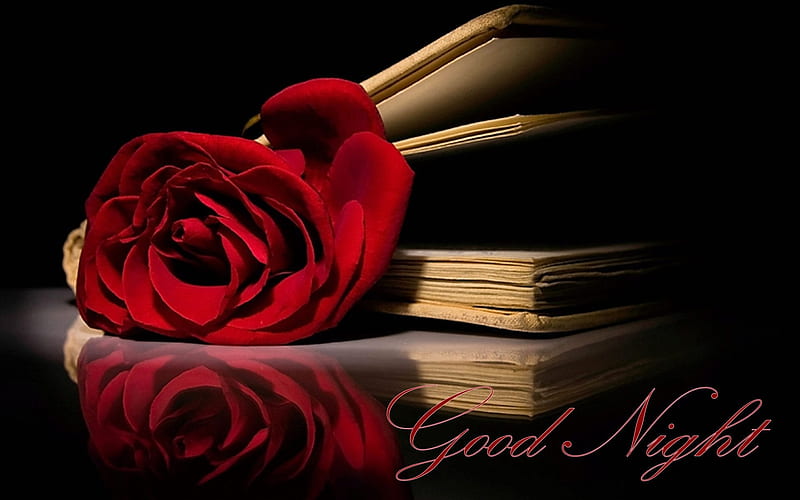 Good Night, red, rose, good, book, single, HD wallpaper | Peakpx
