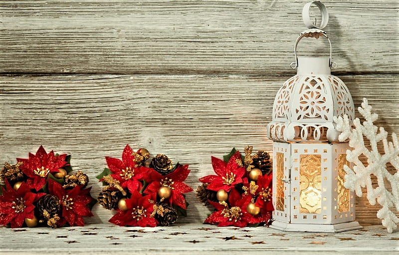 pine cones, flowers, christmas, lantern, HD wallpaper