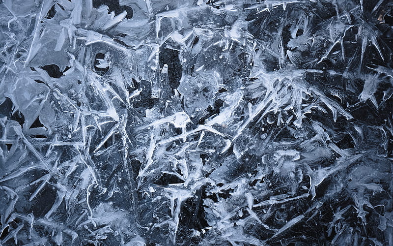 ice texture, background with ice, frosty patterns, ice on a black background, frozen water texture, HD wallpaper