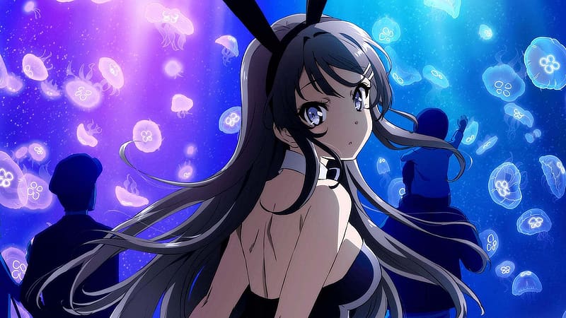 Anime, Blue Eyes, Black Hair, Long Hair, Bunny Ears, Mai Sakurajima, Rascal Does Not Dream Of Bunny Girl Senpai, HD wallpaper