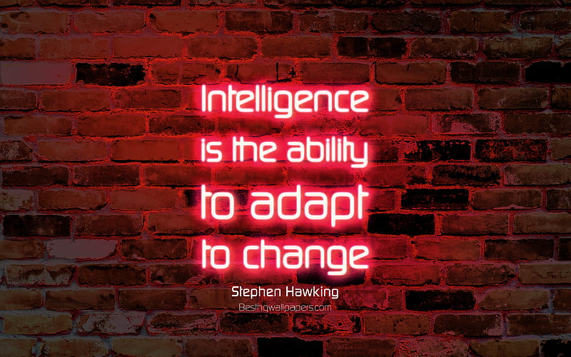 Intelligence is the ability to adapt to change purple brick wall, Stephen Hawking Quotes, popular quotes, neon text, inspiration, Stephen Hawking, quotes about change, HD wallpaper