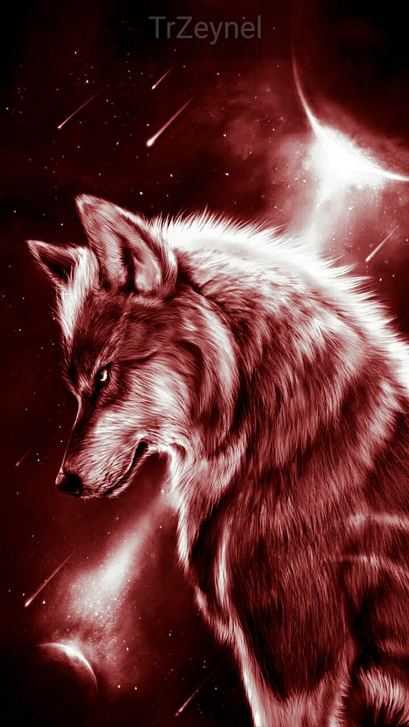Wolf, super, HD phone wallpaper | Peakpx