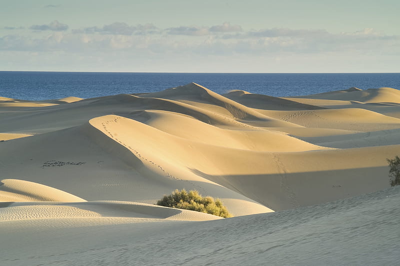 Gran Canaria, Sand Dunes, beach, sand dunes, dunes, ocean, sky, HD wallpaper