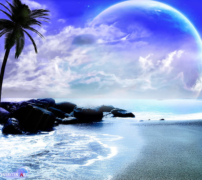 34270.jpg, beach, plamtree, moon, HD wallpaper