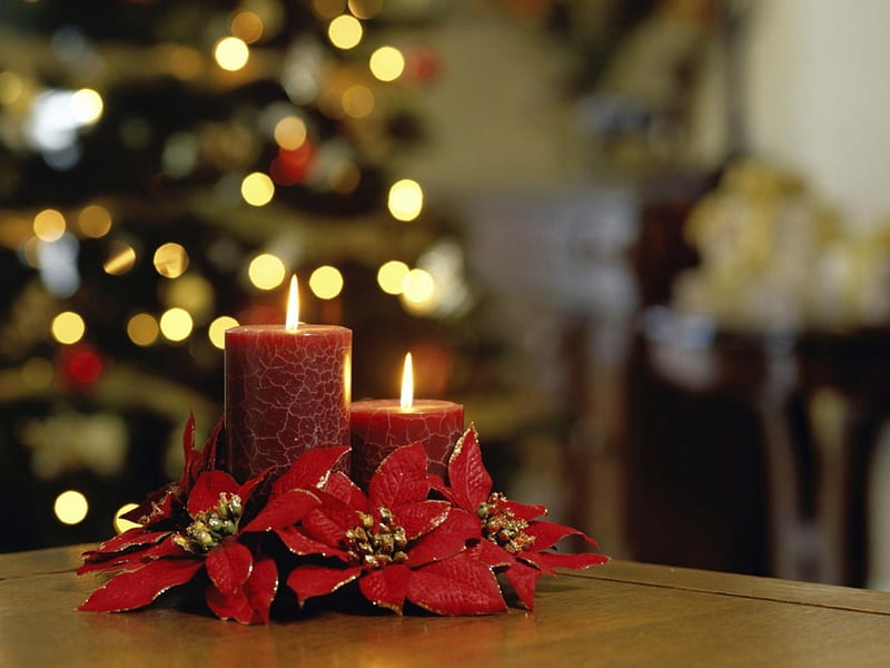 Merry Christmas!, candle, craciun, christmas, flower, poinsettia, lights, HD wallpaper