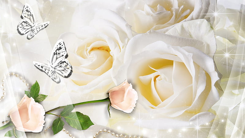 Delicate and Pure, stars, apricot rose, white roses, shine, soft, silk, purity, butterfly, yellow rose, beads, virginal, HD wallpaper