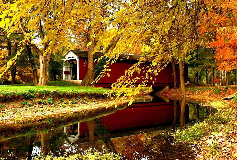 Autumn park, fall, autumn, grass, falling, covered, foliage, leaves, bridge, season, reflection, golden, park, creek, trees, pond, nature, branches, HD wallpaper