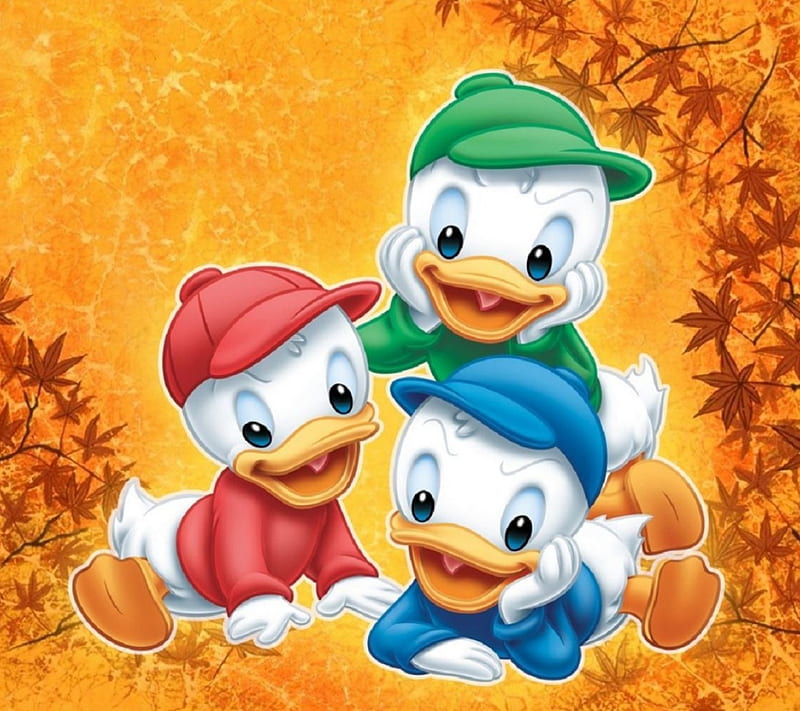 Three_Brothers, brothers, three, duck, trio, HD wallpaper