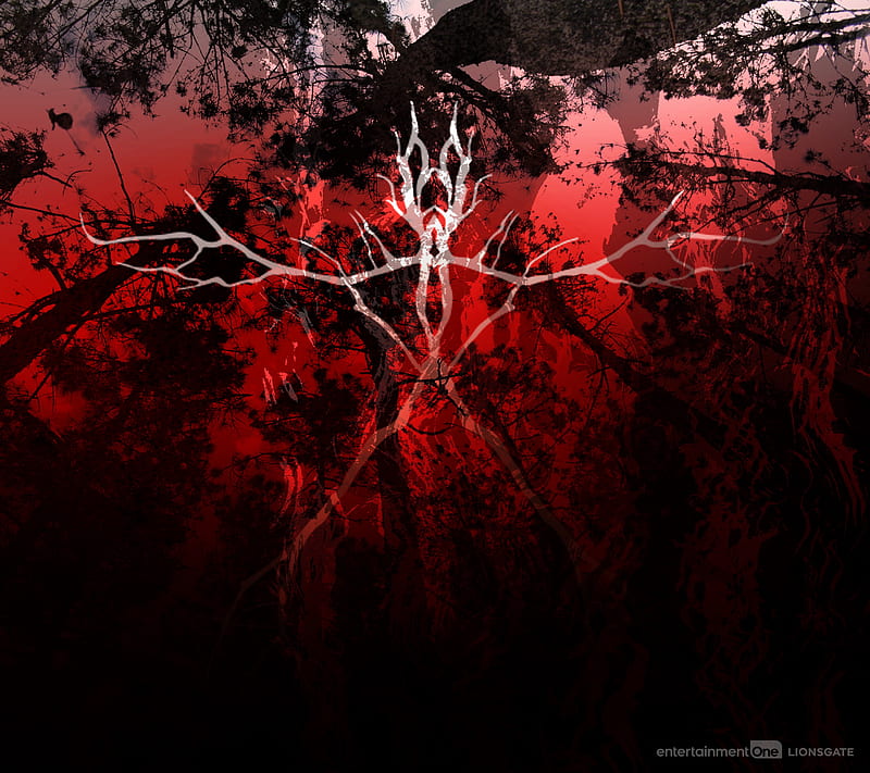 Blair Witch Trapped Blair Horror Scary Witch Blair Hd Wallpaper Peakpx 0619