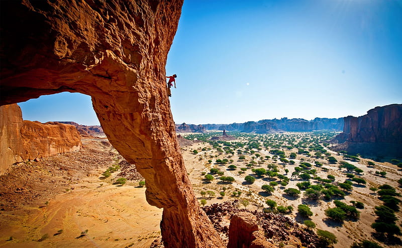 fabulous cliff climbing, climber, cliff, desert, trees, HD wallpaper