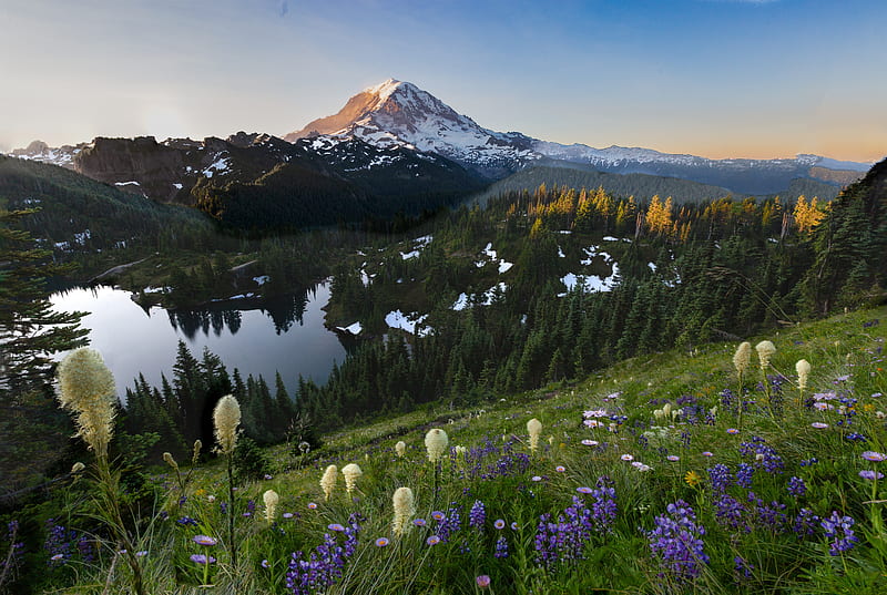 Lakes, Lake, Landscape, Mount Rainier, Mountain, Nature, USA, HD wallpaper