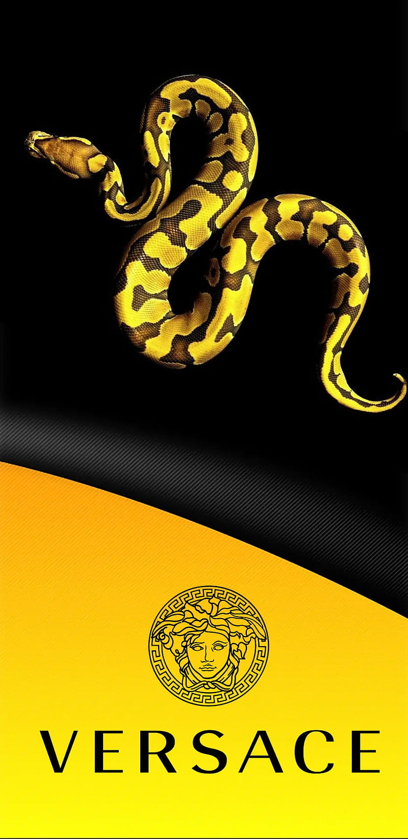 Versus, black and yellow, king, snake, supreme, versace, HD phone wallpaper  | Peakpx