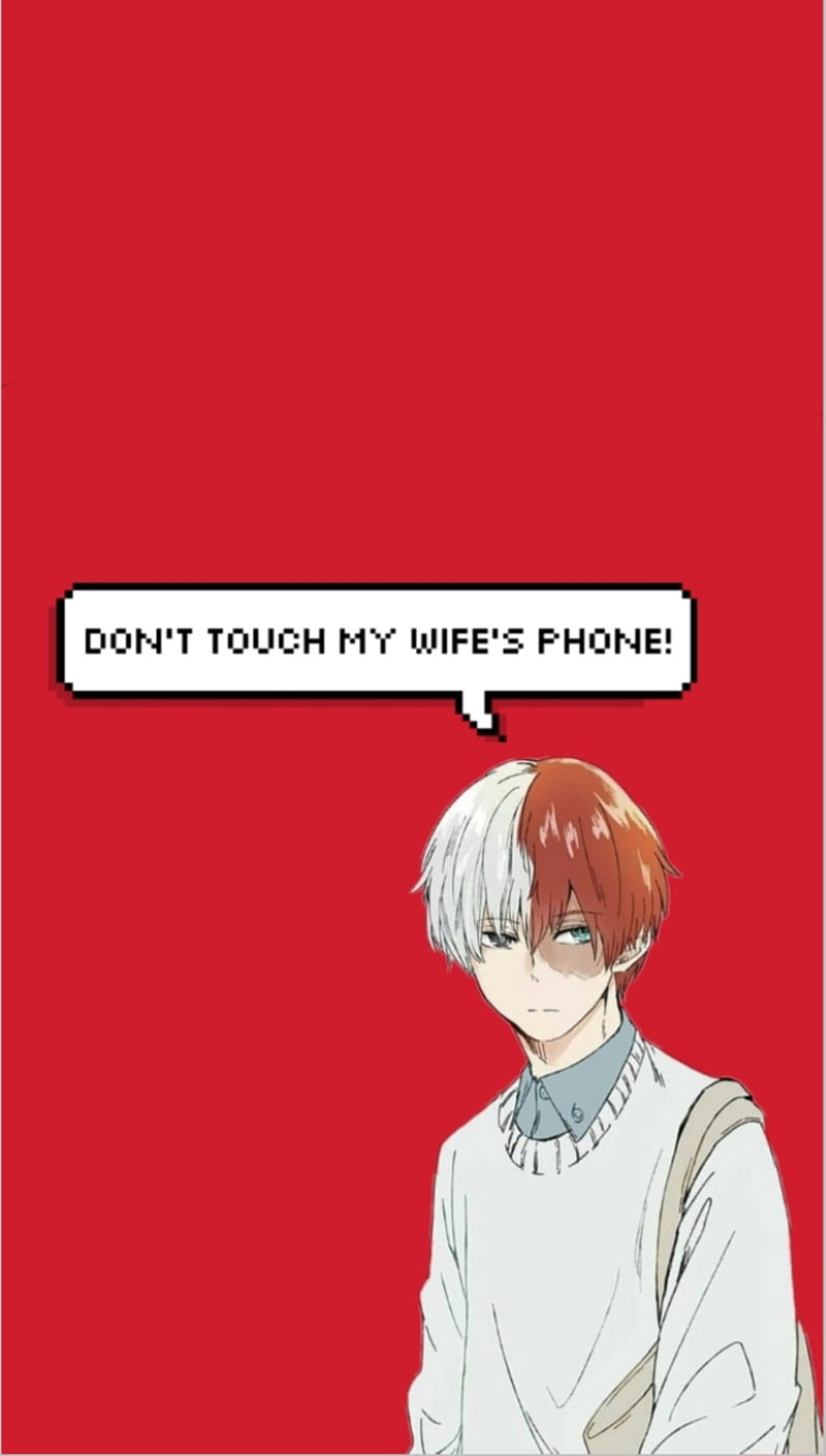 Todoroki dont touch anime anime husband anime wife shoto shoto  todoroki HD phone wallpaper  Peakpx