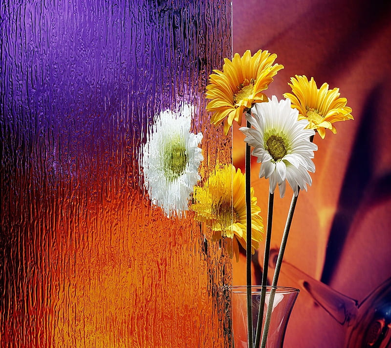 Awesome beauty, flowers, glass, nice, reflection, water, window, HD wallpaper