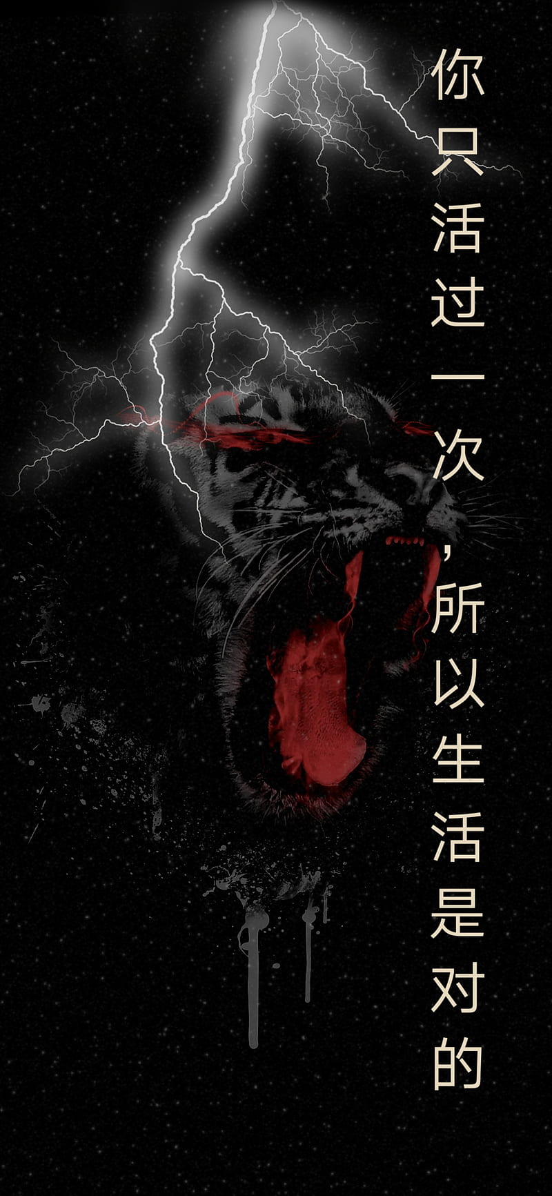 Lion , chinese quotes, cool , dark theme, yolo, HD phone wallpaper