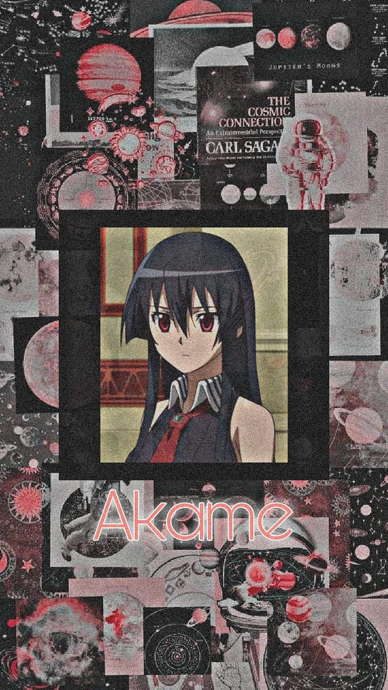 Akame, akame ga kill, blood, dead, HD phone wallpaper