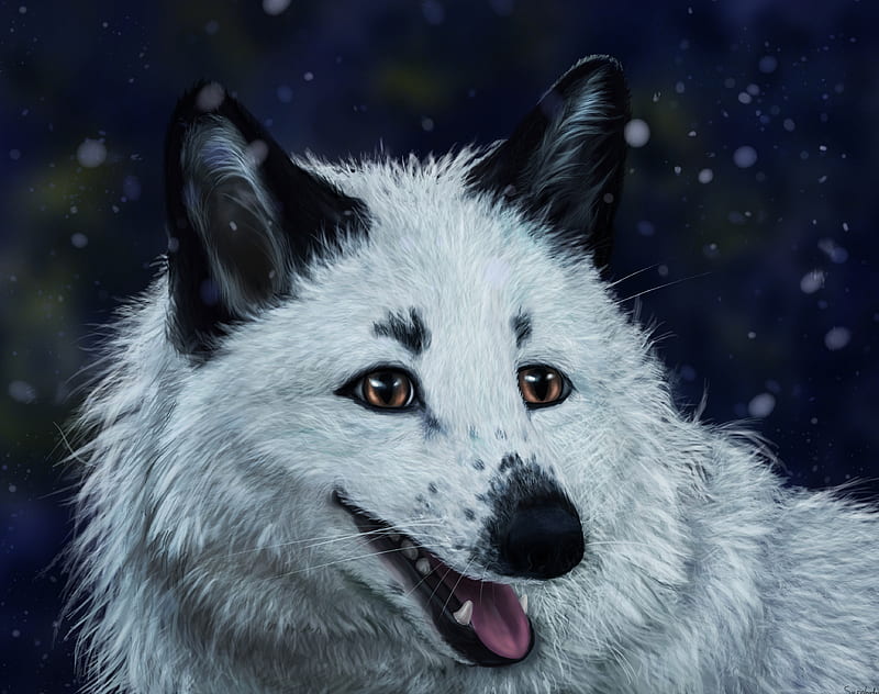 fox, white, protruding tongue, animal, art, HD wallpaper