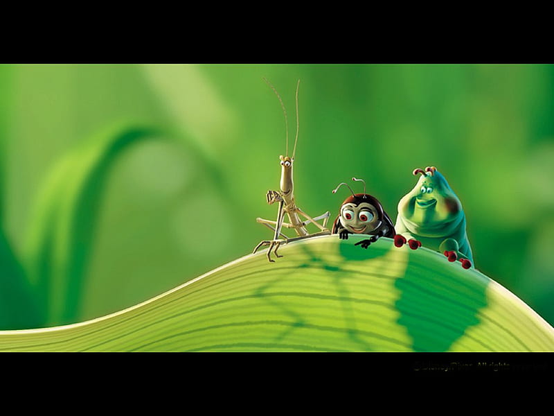 HD a bugs life wallpapers | Peakpx