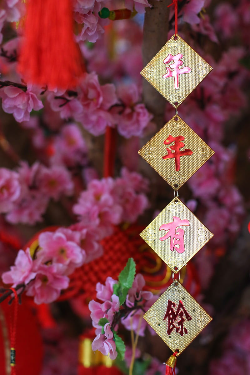 garland, hieroglyphs, flowers, chinese new year, HD phone wallpaper