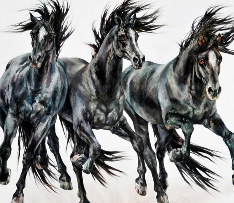3 caballos negros, arte, pintura, equino, bonito, caballo, obra de arte,  animal, Fondo de pantalla HD | Peakpx