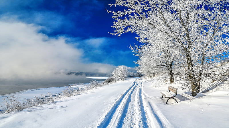 Winter view, rest, view, bench, bonito, sky, mist, winter, cold, pond, tree, snow, road, landscape, frost, HD wallpaper