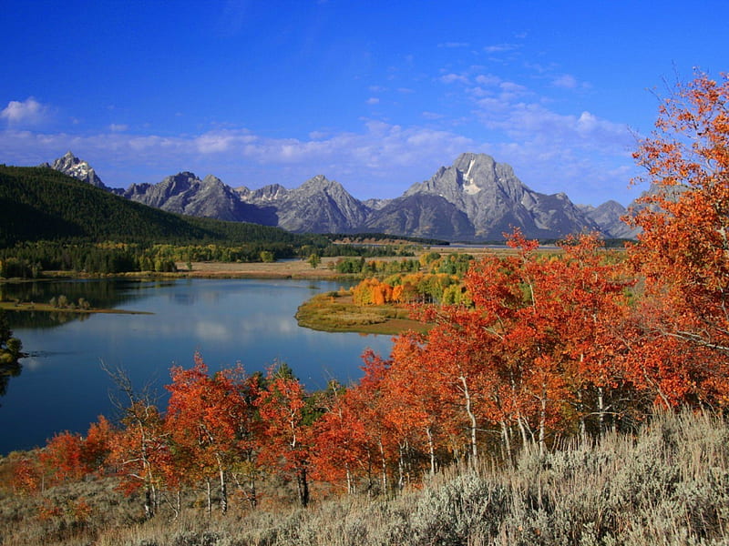 Mt. Moran, Grand Tetons, Wyoming, autumn, colors, river, trees, snake river, HD wallpaper
