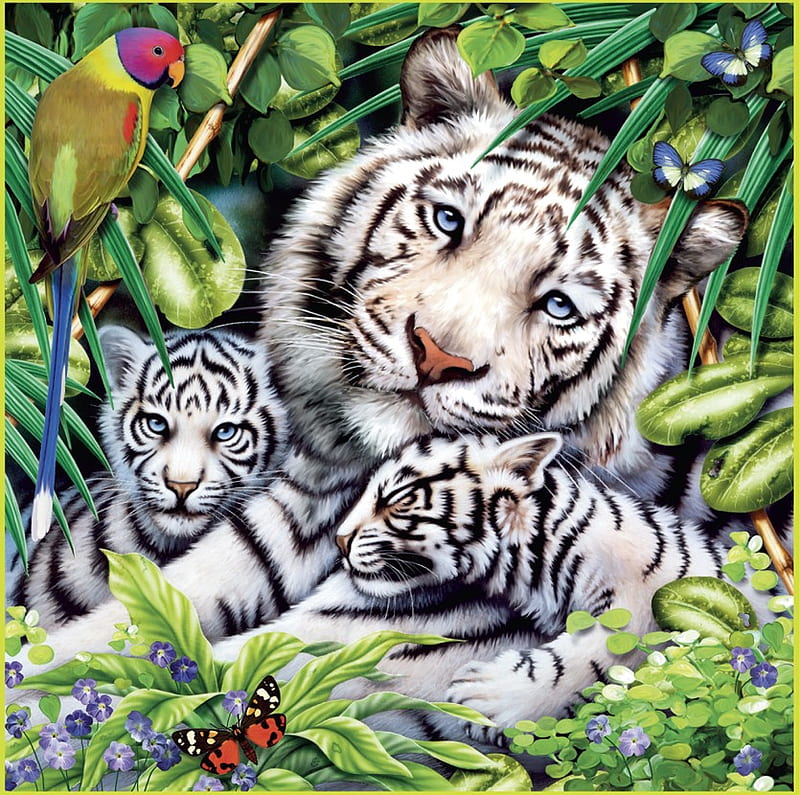 family, tigers, family of white tigers, HD wallpaper